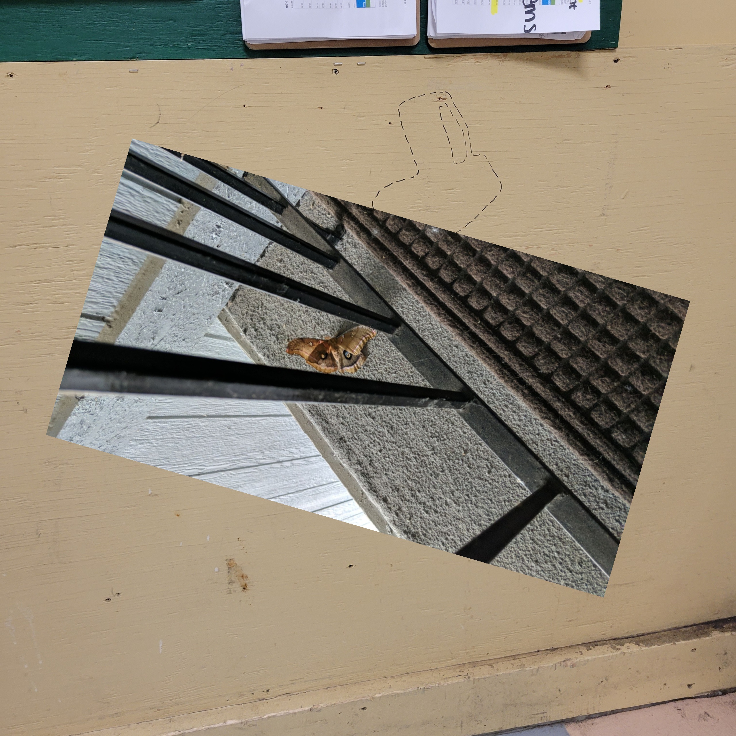 collage of an image of a moth next to a railing and an image of a wall with a dotted line outlining the place where a tool belongs